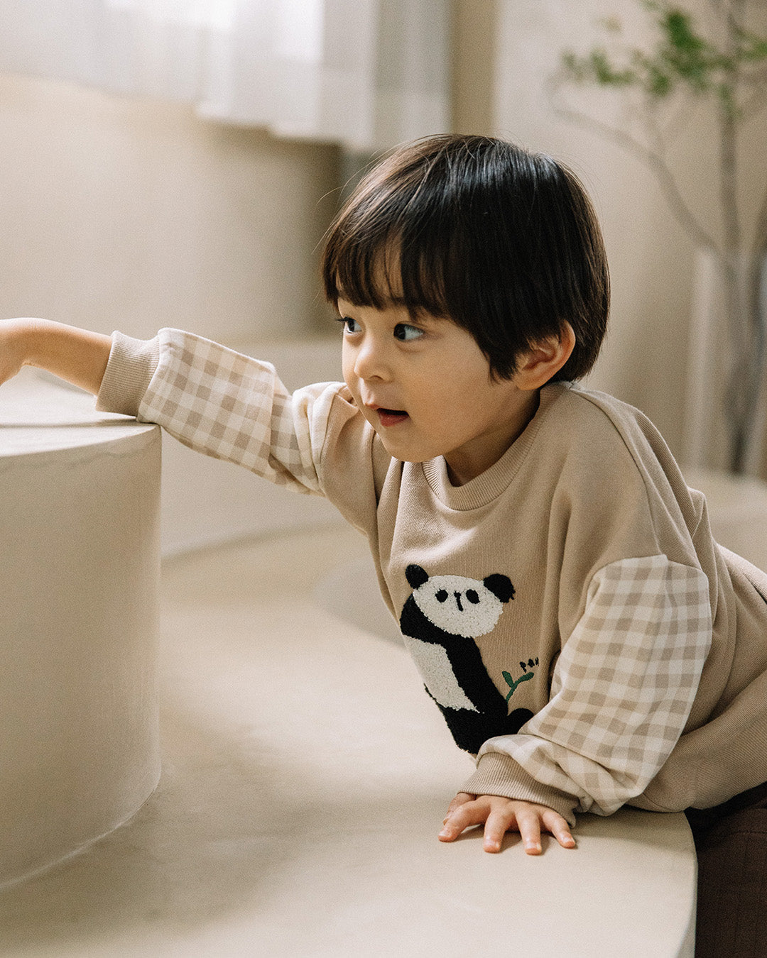 {
  "t.": "Sagara Embroidery Paneled Sweatshirt"
}